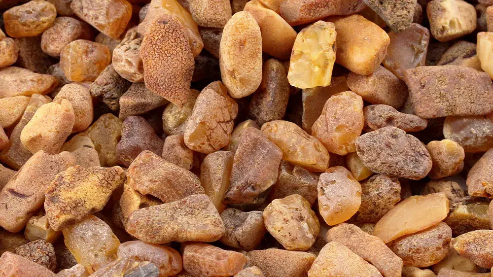 Baltic Amber: Permata Kuning Keemasan dari Laut Baltik