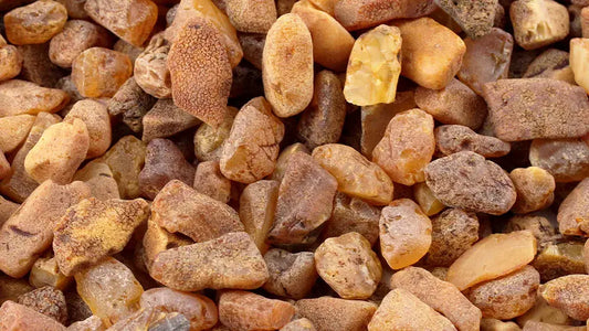 Baltic Amber: Permata Kuning Keemasan dari Laut Baltik