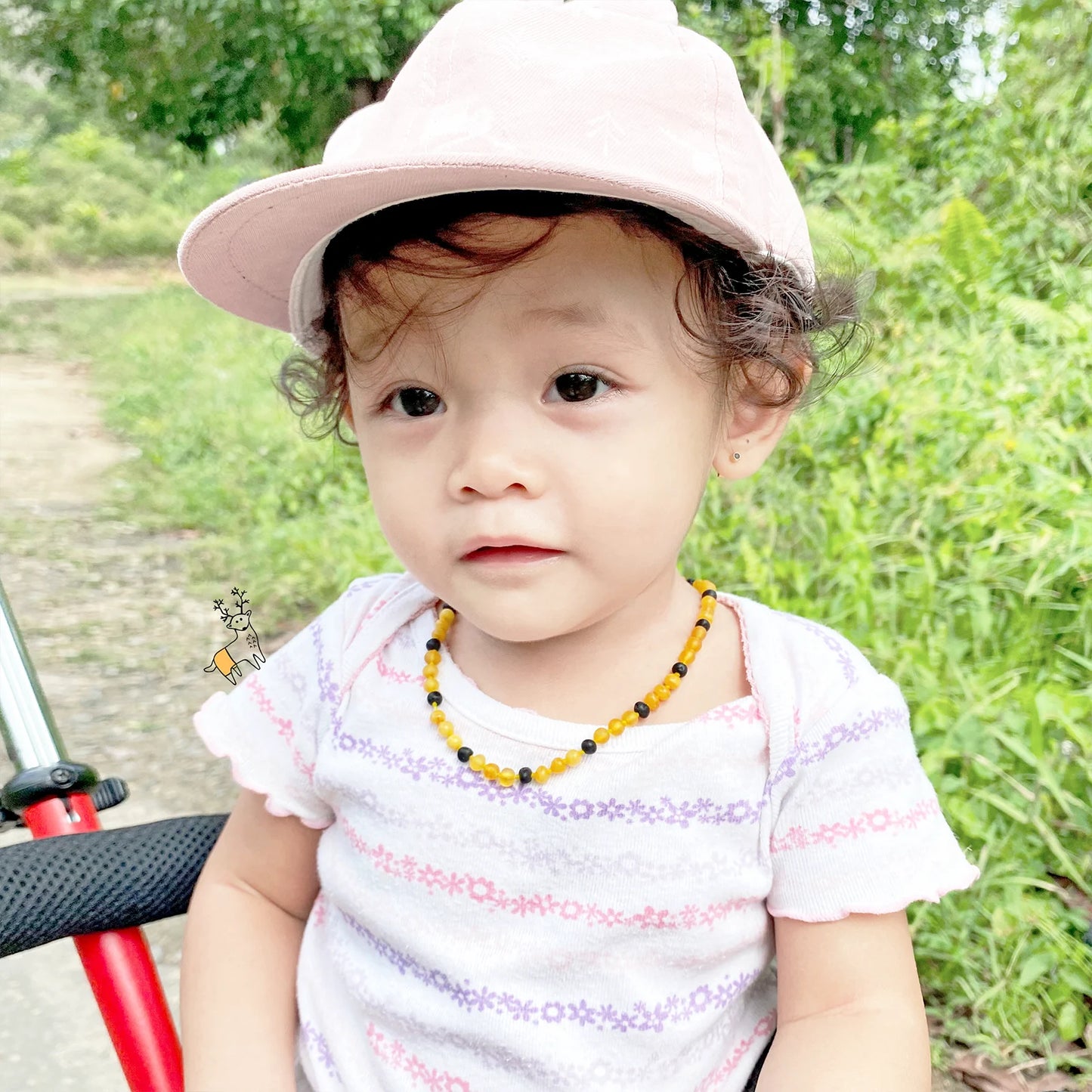 SET AMBER UNTUK BAYI TUMBUH GIGI LIMITED ED. XLE26